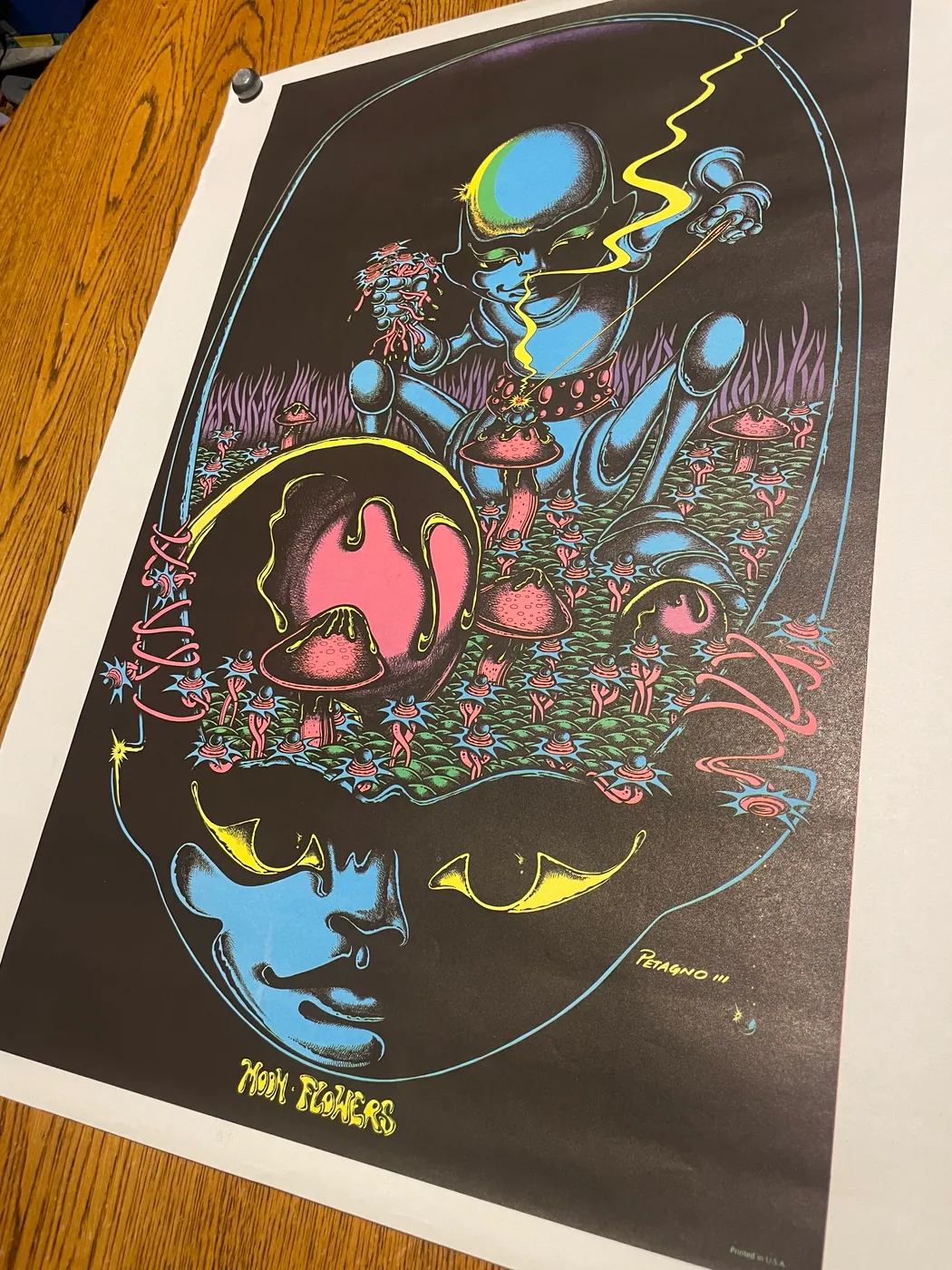 Original vintage blacklight poster 20”x27”, photo 4 of 5
