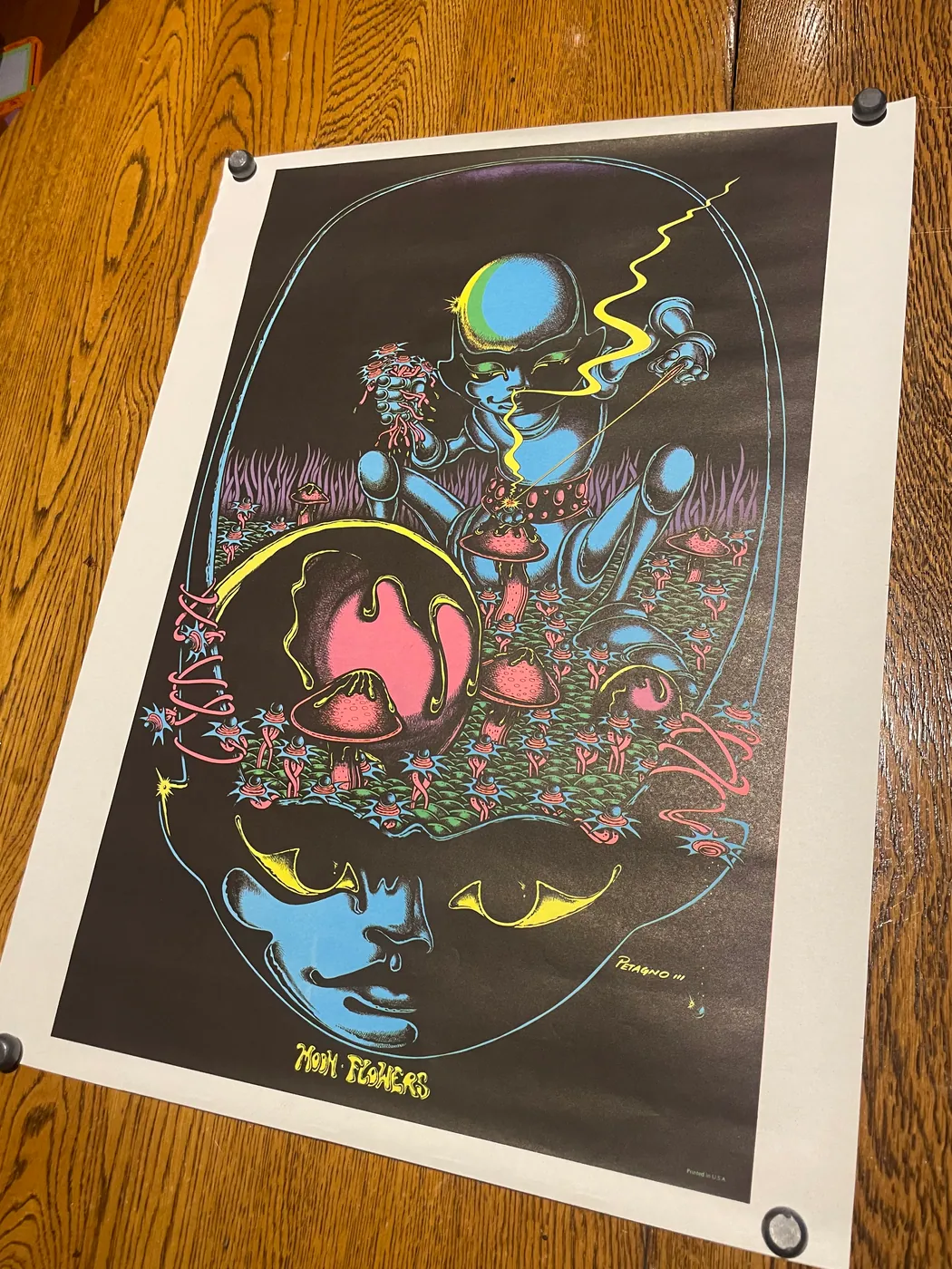Original vintage blacklight poster 20”x27”, photo 3 of 5