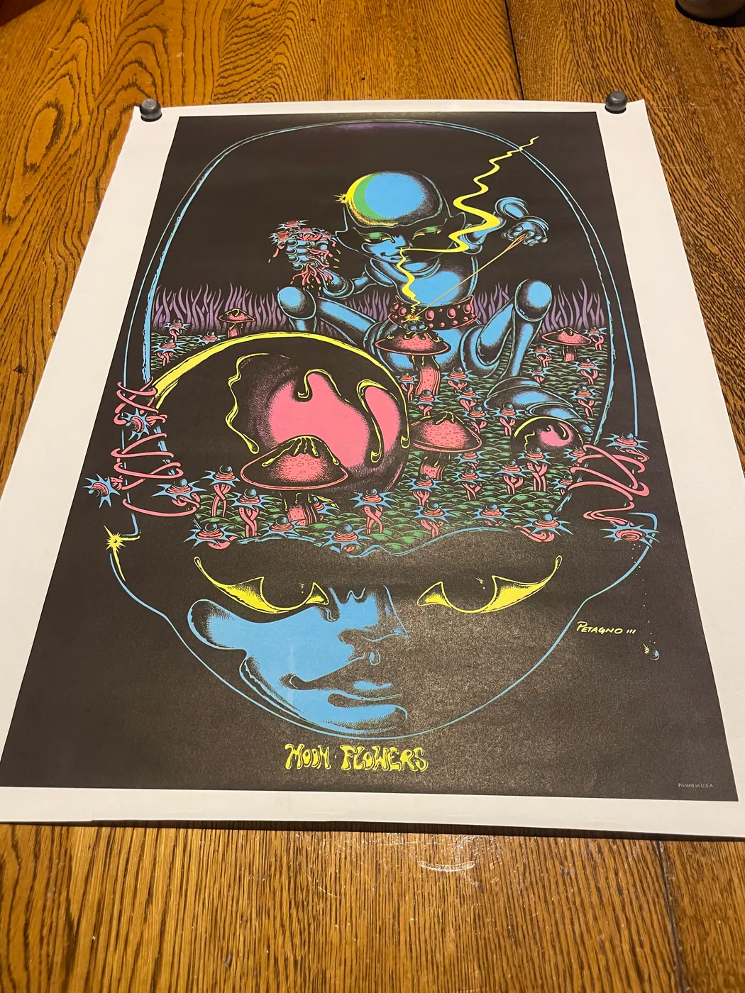 Original vintage blacklight poster 20”x27”, photo 5 of 5